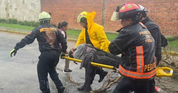 Atiende PC Municipal a mujer lesionada por caída de árbol en La Paz