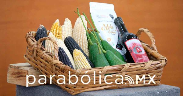 Impulsa Puebla desarrollo agroindustrial con los CIITRA: SDR