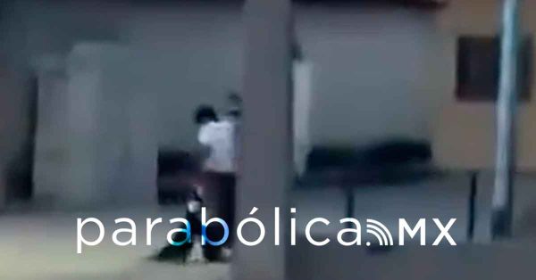 Acusan a regidor de Chiautla de Tapia por maltrato animal