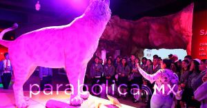 Viven  j&oacute;venes poblanos un "Viaje Inolvidable&rdquo;; impulsa Armenta la identidad de Puebla