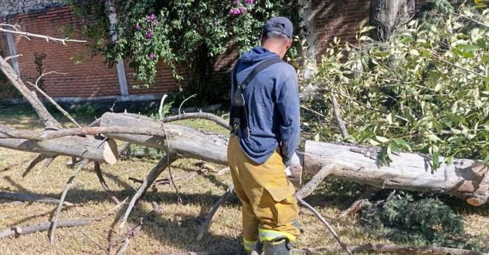 Atienden en San Pedro Cholula afectaciones por frente fr&iacute;o 13