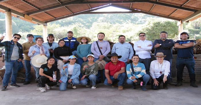 Buscan investigadores BUAP fortalecer la producción de agave mezcalero en Puebla