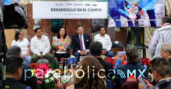 Se consolida a Atlixco como l&iacute;der nacional en producci&oacute;n de Nochebuena: Armenta en CDMX