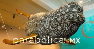 Recorre Pepe Chedraui la exposición “El Murmullo de los Océanos” en Palacio Municipal