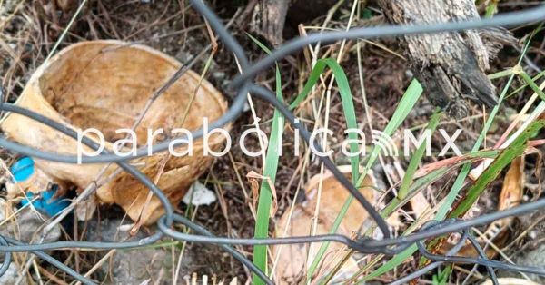 Descarta FGE que el cr&aacute;neo hallado en Iz&uacute;car sea humano