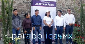 Avanza el programa Adopta un Árbol en San Andrés Cholula