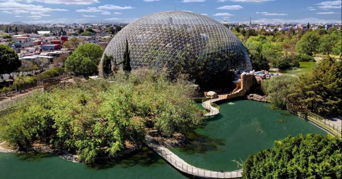 Apúntate a las clases de natación en el Parque Ecológico