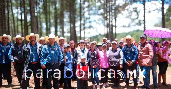 Pone Zacatlán el ejemplo en reforestación a nivel estatal y nacional: Bety Sánchez