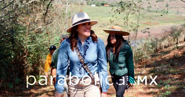 Será el predio de Las Cruces y Ecatitla la primera Área Natural Protegida en Zacatlán