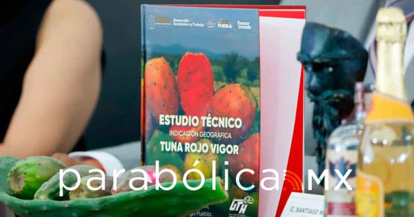 Buscan la Indicación Geográfica de tuna de Acatzingo: UTH entregó estudio al IMPI
