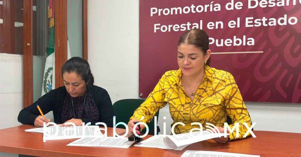 Unen fuerzas para combatir plagas forestales el ayuntamiento de Zacatl&aacute;n y CONAFOR