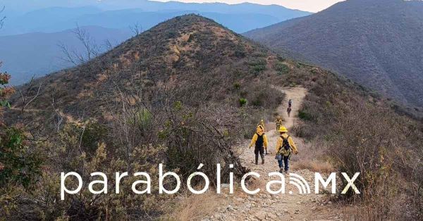 Suman 256 incendios forestales de diciembre a mayo: Gobierno estatal