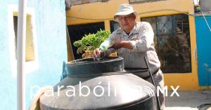 Alcanza Oaxaca casi 300 casos de dengue previo al cierre del a&ntilde;o