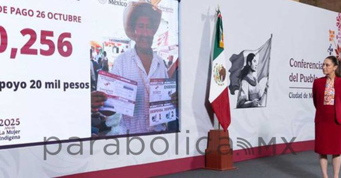 Otorgados 70 mil 256 apoyos a personas afectadas por lluvias: Gobierno México