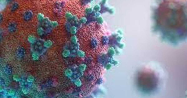 Descarta Salud Federal la presencia de Influenza A H3N2 subclado K