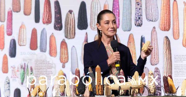 Impulsar&aacute; M&eacute;xico valor agregado al ma&iacute;z nativo: Sheinbaum