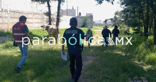 Ubica Segob a personas extraviadas en las faldas de La Malinche