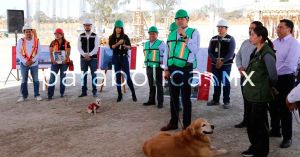 Llama Armenta a dar trato a animales como vidas que sienten, no como objetos o mercancía 