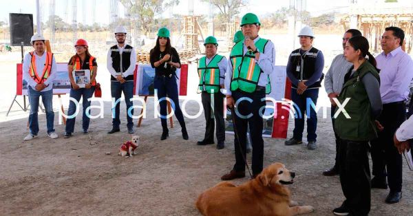 Llama Armenta a dar trato a animales como vidas que sienten, no como objetos o mercanc&iacute;a&nbsp;