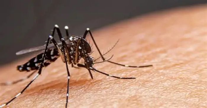 Hay más de 5 mil 600 casos de dengue en México y 32 muertes