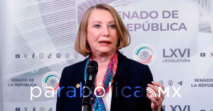 Eliminará Senado viajes al extranjero y se ajustarán a la austeridad: Laura Itzel Castillo