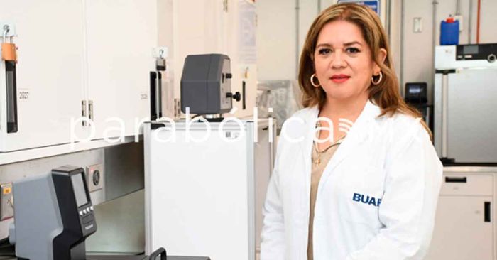 Desarrollan en la BUAP productos a partir de la planta Tecoma stans, para prevenir diabetes