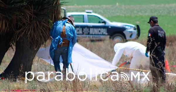 Encabeza Comisionado de Búsqueda trabajos en fosa de Palmar de Bravo