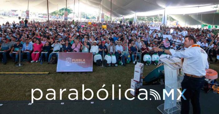 Se fortalece la cafeticultura con honestidad y justicia social: Armenta