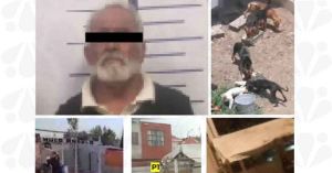 Detiene FGE a Porfirio N. por maltrato animal en San Miguel La Venta