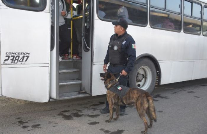 Inspecciona SSC más de 6 mil 500 unidades por operativo Transporte Seguro