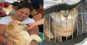 Acerca Gobierno de la Ciudad jornada de bienestar animal a la colonia 20 de Noviembre