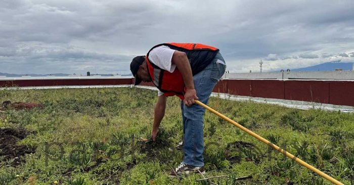 Pendiente Congreso del Estado de afectaciones por lluvias