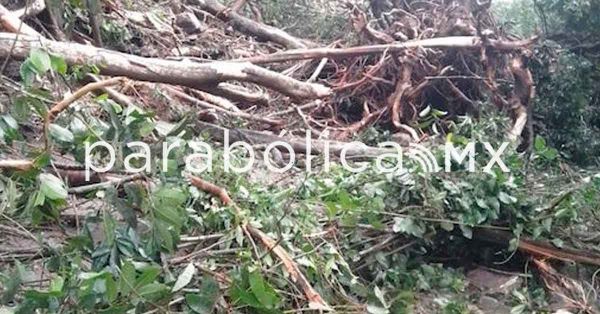 Generan recientes lluvias derrumbes en carreteras de Oaxaca