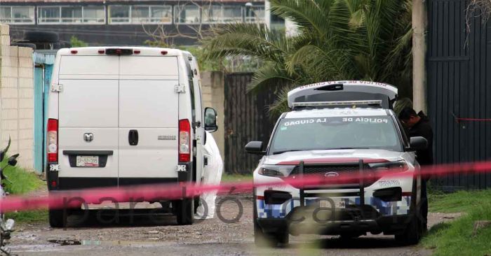 Suman 11 cadáveres abandonados en Puebla durante junio