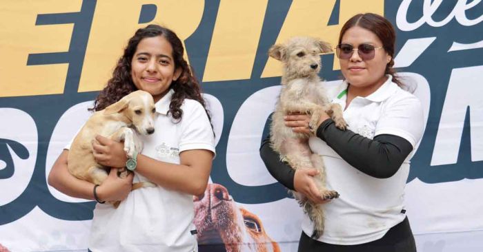 Impulsa Ariadna Ayala adopciones responsables en beneficio a 202 lomitos