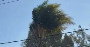 Emiten recomendaciones ante ráfagas de viento en la capital