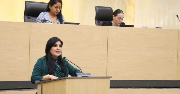 Propone Delfina Pozos que municipios supervisen procedimientos para el desarrollo policial