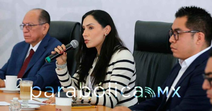 Protege Medio Ambiente 46 mil hectáreas de La Malinche: Rebeca Bañuelos