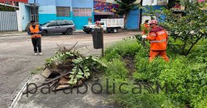 Refuerza Gobierno de la Ciudad programa &ldquo;Limpiando bien y a la primera