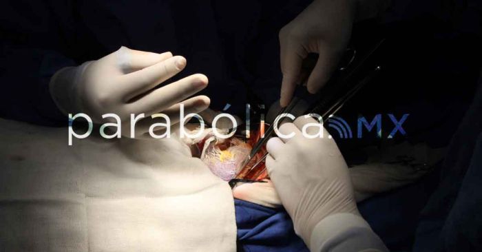 Exhibe Nay Salvatori negligencia en FGE que impide trasplante de órganos