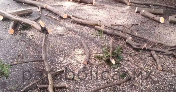 Activa Gobierno de la Ciudad protocolo de seguridad y limpieza urbana por lluvias