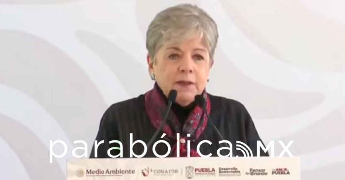 Se reforestar&aacute;n 243 hect&aacute;reas para el rescate del R&iacute;o Atoyac: Alic&iacute;a B&aacute;rcena