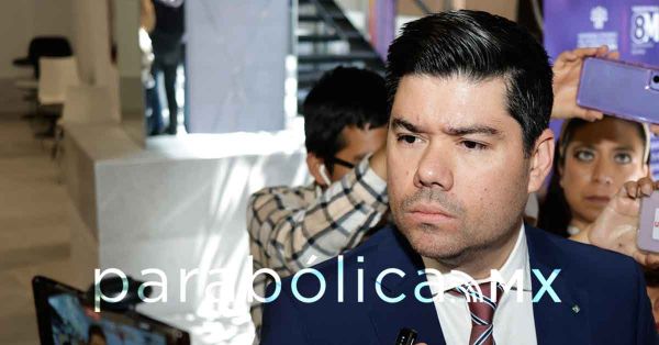 Analizará Congreso modificar la Ley de Arbolado y Áreas Verdes: Natale