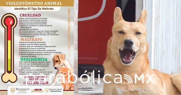 Presentan el Violentómetro Animal contra el maltrato a seres sintientes en Xiutetelco