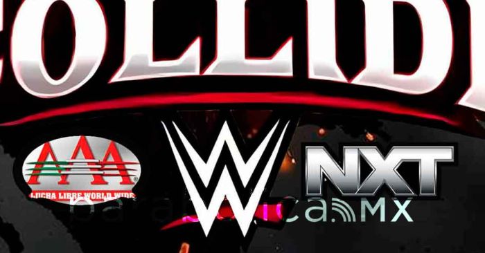 Lucha libre: cambios, batallas e identidad 