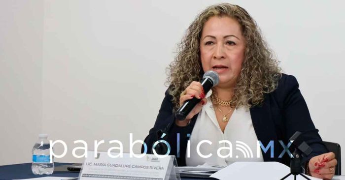 Avanzan investigaciones por homicidios ocurridos en Tehuac&aacute;n y Puebla: FGE