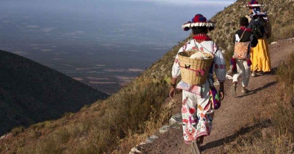 Inscrita la Ruta Wix&aacute;rika en la lista de Patrimonio Mundial de la Unesco