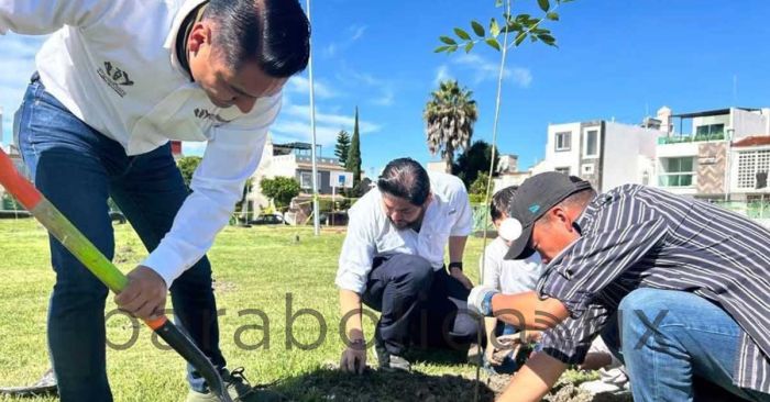Reforestan distintas colonias de Puebla capital