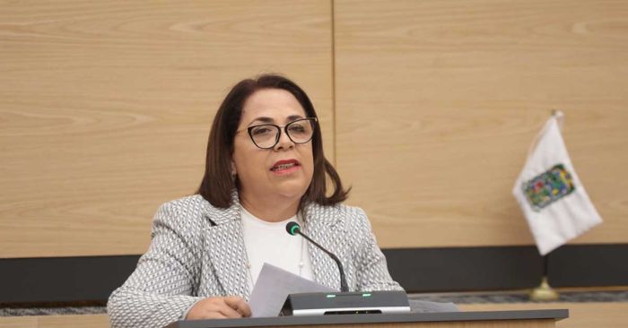 Proponen en el Congreso la creación de Agencias de Colocación Especializadas en Personas con Discapacidad