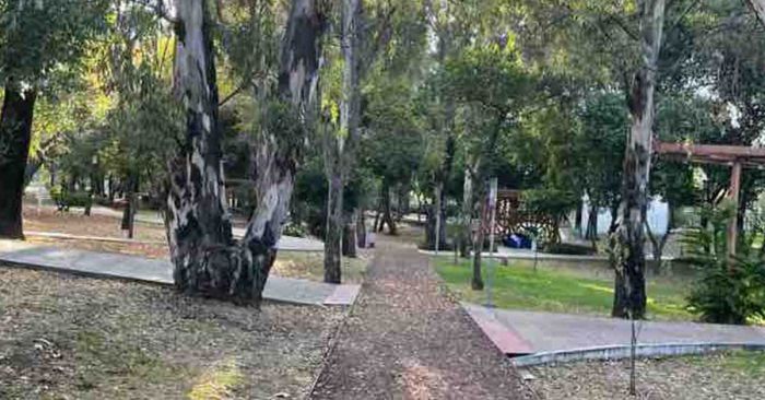 Invitan a visitar parque de la capital durante la temporada decembrina